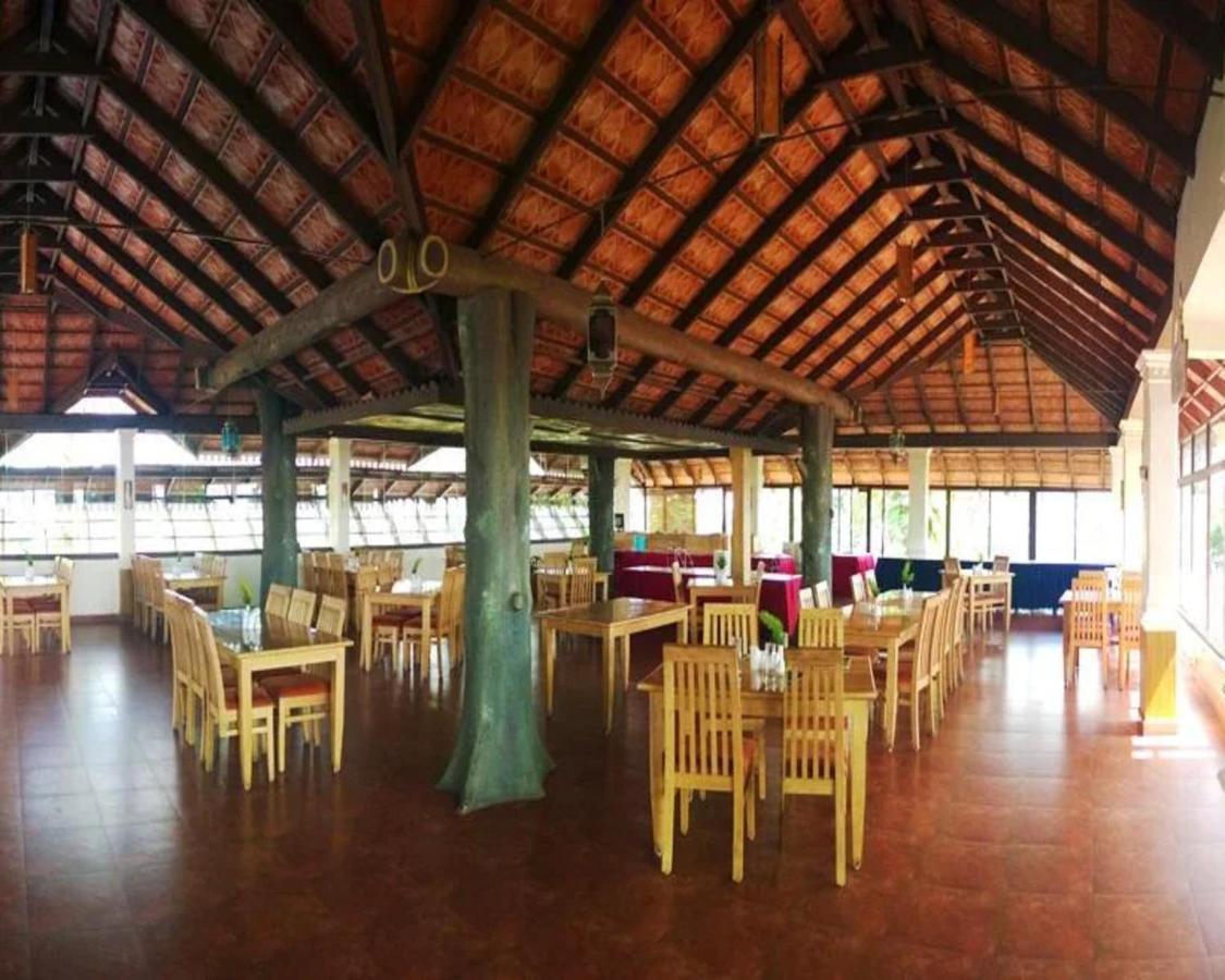 The Porcupine Castle Resort マディケーリ エクステリア 写真